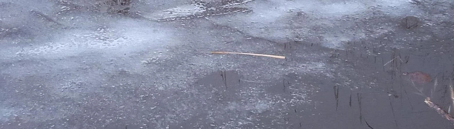 Фото: Сергей Егоров