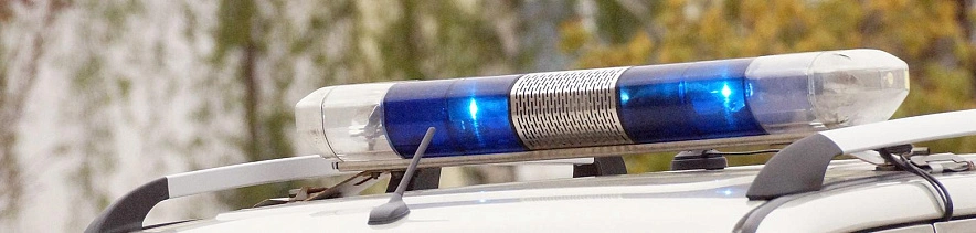 Фото: Сергей Егоров