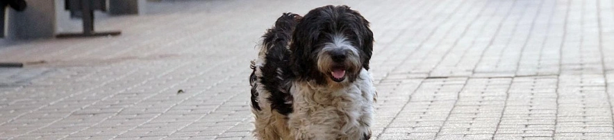 Фото: Сергей Егоров