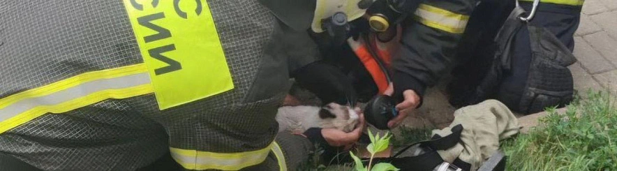 Фото: пресс-служба МЧС России