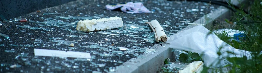 Фото: Валерия Алисова