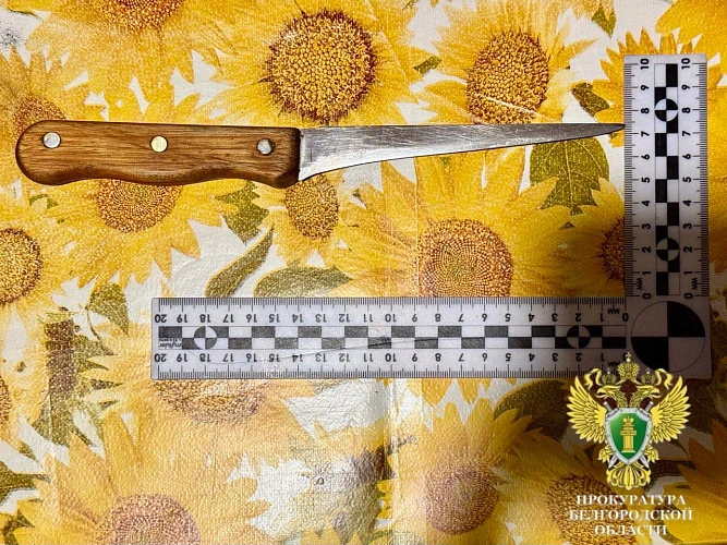 Фото: пресс-служба прокуратуры Белгородской области