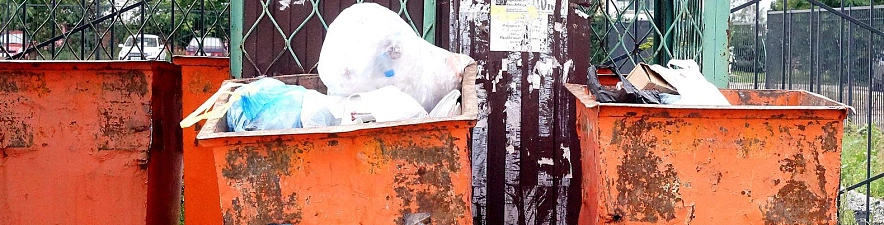 Фото: Сергей Егоров