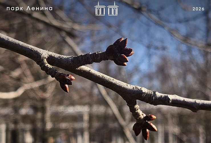 Фото: пресс-служба администрации парка им. Ленина