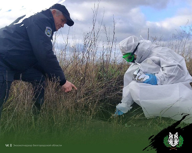 Фото: Экоохотнадзор Белгородской области
