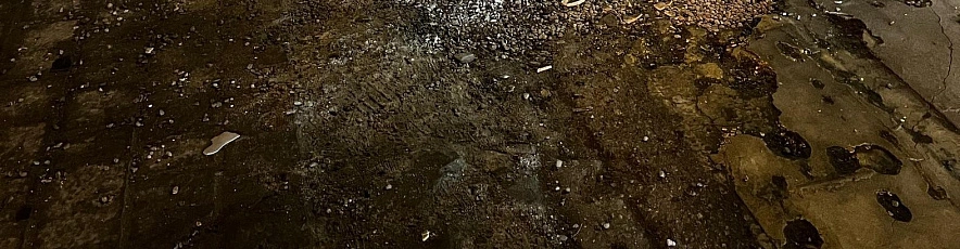 Фото: Анна Григор