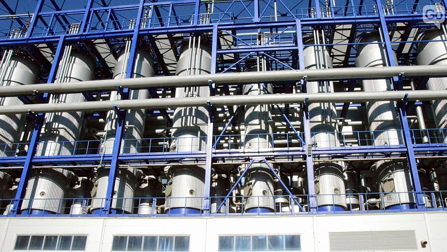 Фото: Виктория Передерий