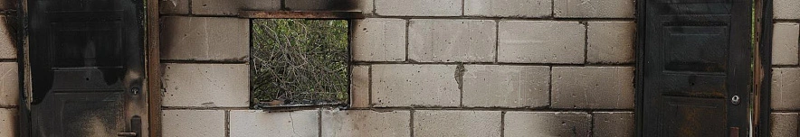 Фото: Антон Вергун