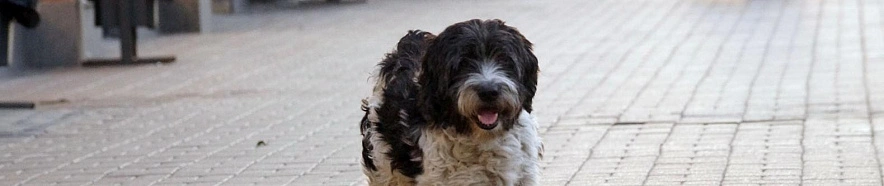 Фото: Сергей Егоров 