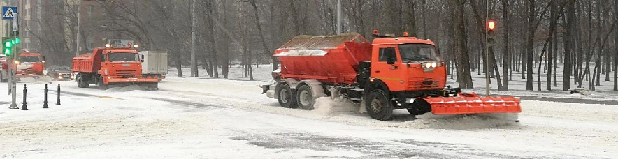 Фото: Сергей Кудрин
