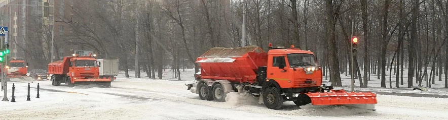 Фото: Сергей Кудрин