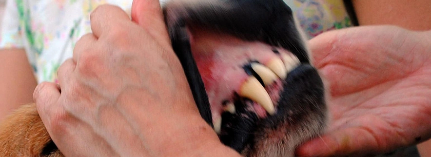 Фото: Сергей Егоров