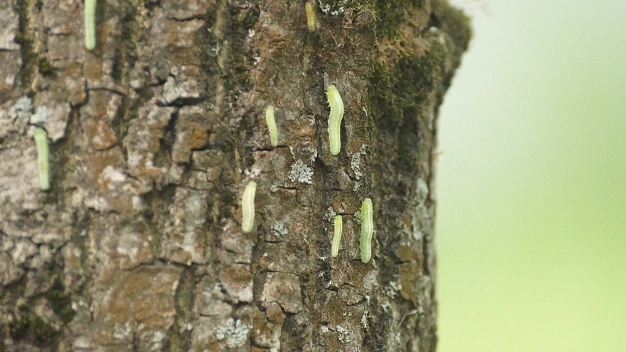 Фото: Сергей Егоров