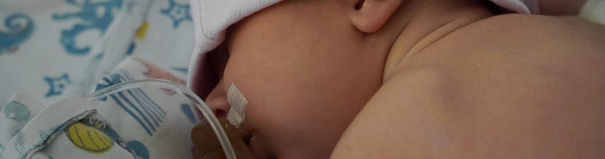 Фото: Андрей Закоморный