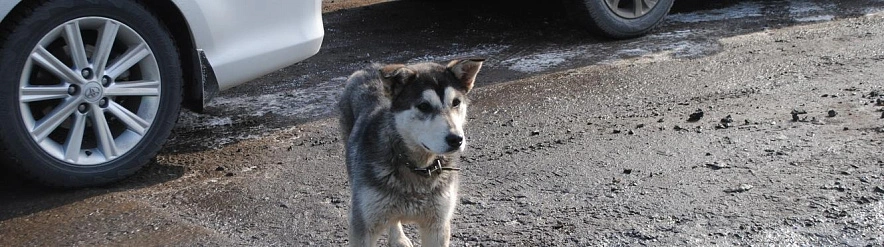 Фото: Анна Григор