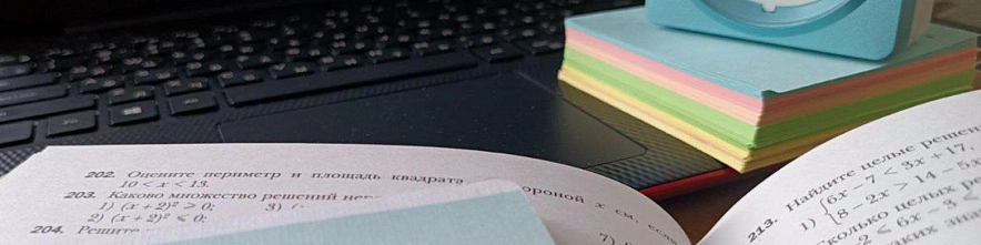 Фото: Дарья Егорова