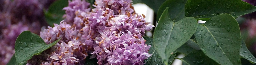 Фото: Сергей Егоров