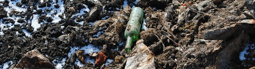 Фото: Анна Григор