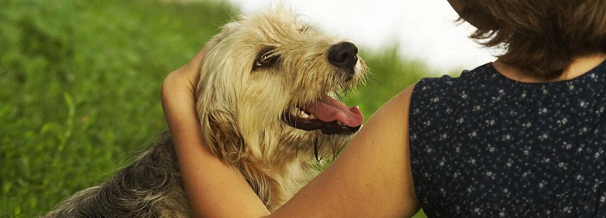 Фото: Сергей Егоров