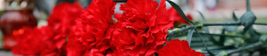 Фото: Антон Вергун