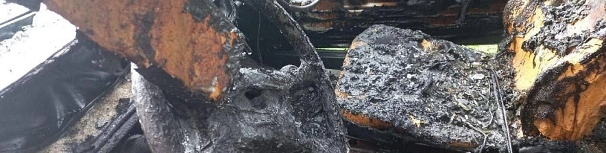 Фото: телеграмм-канал Вячеслава Гладкова