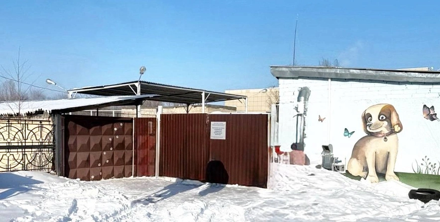 Фото: пресс-служба прокуратуры Белгородской области