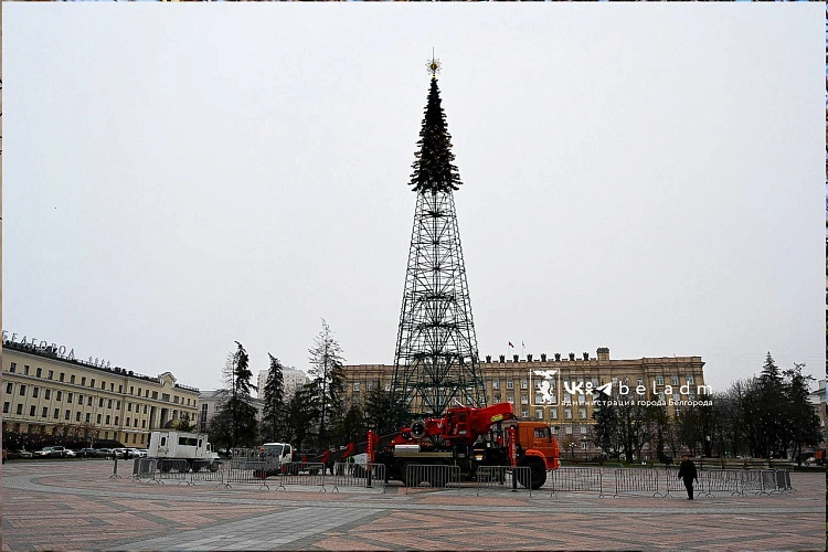 Фото: пресс-служба мэрии Белгорода