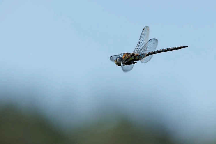 Фото: Антон Вергун