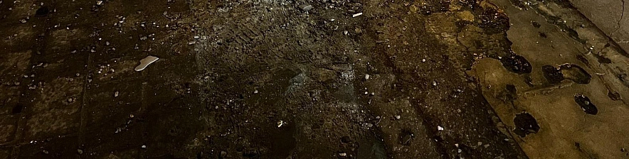 Фото: Анна Григор