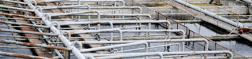 Фото: Сергей Кудрин