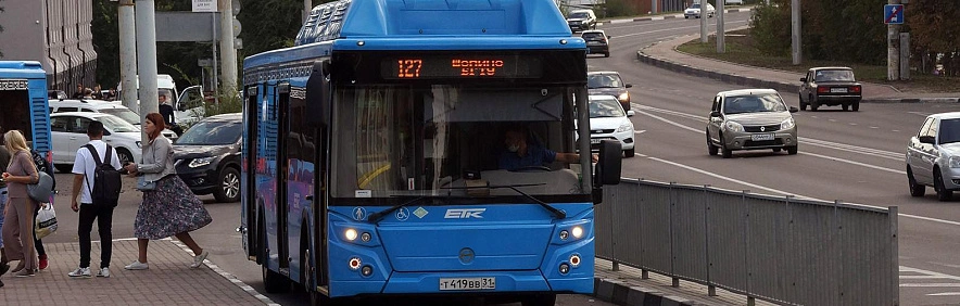 Фото: Сергей Егоров 