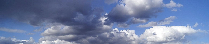 Фото: Сергей Егоров