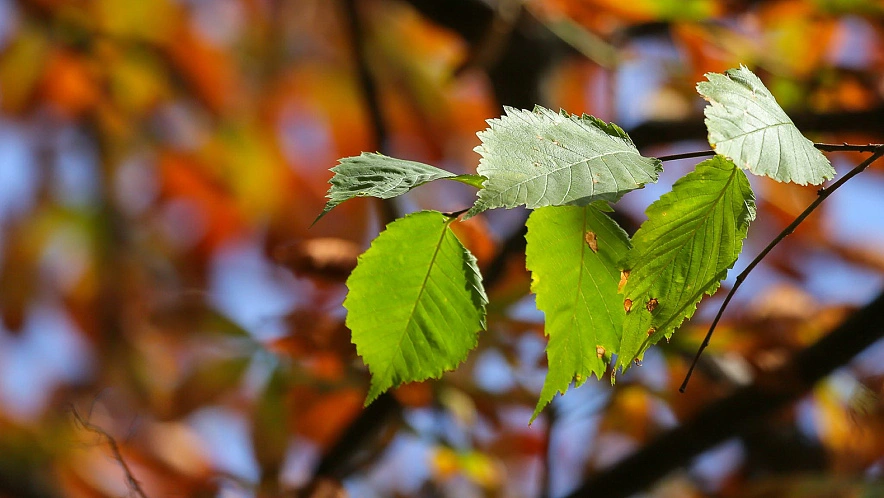 Фото: Антон Вергун