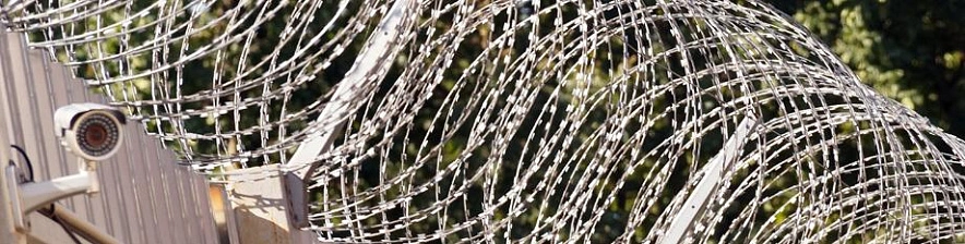 Фото: Сергей Егоров