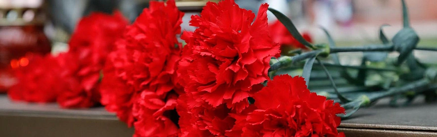 Фото: Антон Вергун