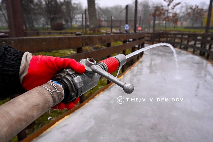 Фото: соцсети Валентина Демидова