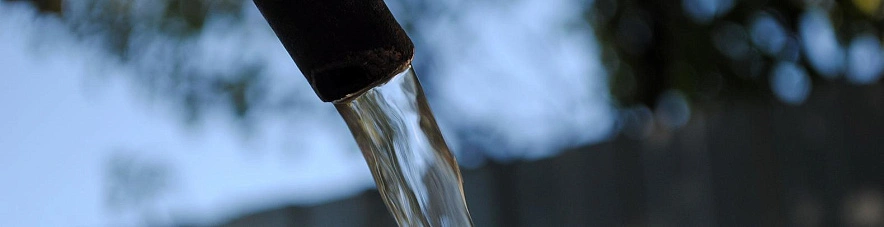 Фото: Сергей Егоров