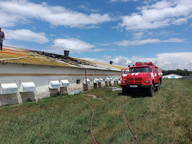 Фото: соцсети Вячеслава Гладкова