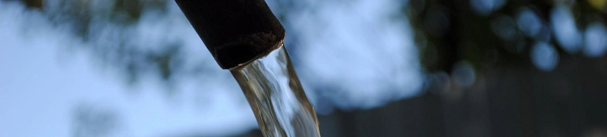 Фото: Сергей Егоров