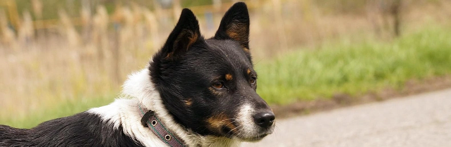 Фото: Сергей Егоров