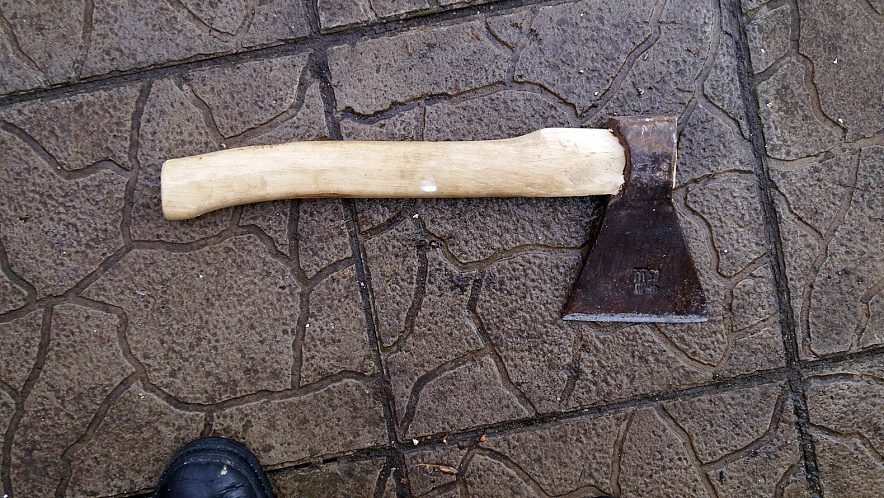 Фото: Сергей Егоров