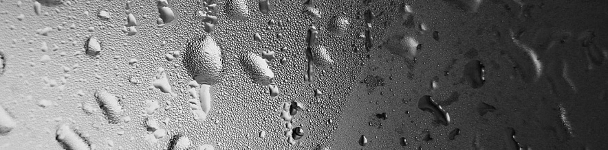 Фото: Сергей Егоров