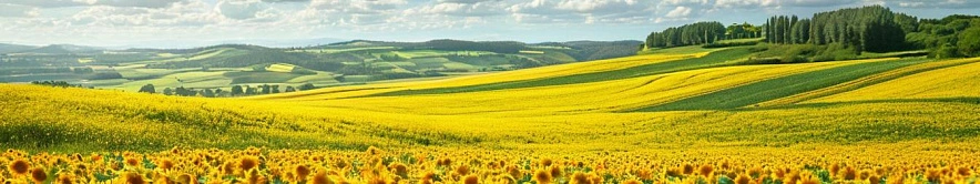 Фото: Шедеврум