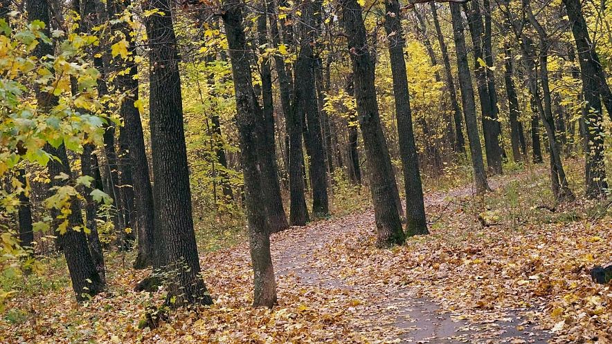 Фото: Сергей Егоров