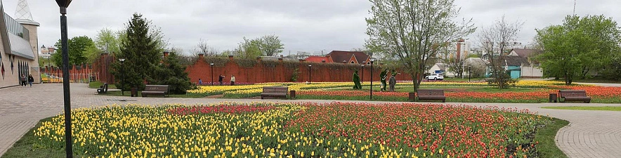 Фото: Антон Вергун