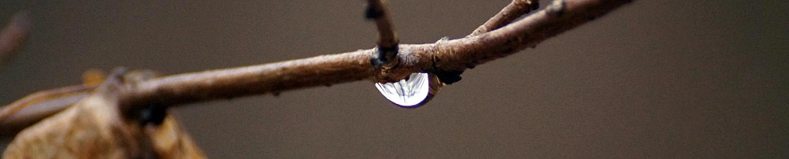 Фото: Сергей Егоров