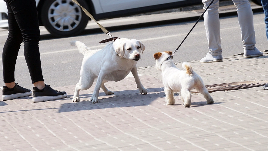 Фото: Сергей Егоров