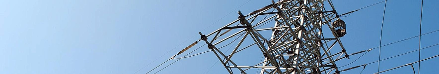 Фото: Сергей Егоров 