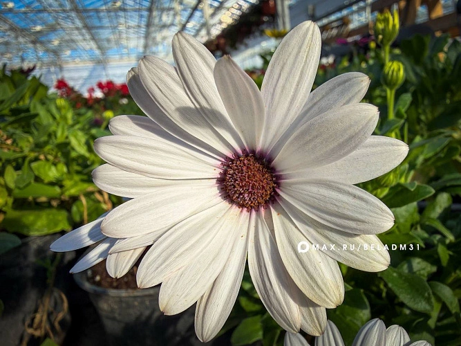 Фото: пресс-служба администрации Белгорода