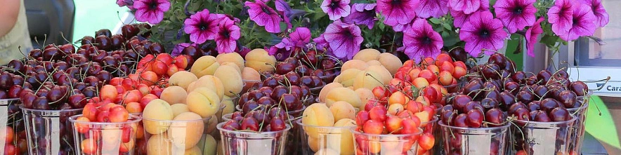 Фото: Антон Вергун